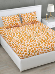 Florence 144 TC Cotton Bedsheet Set