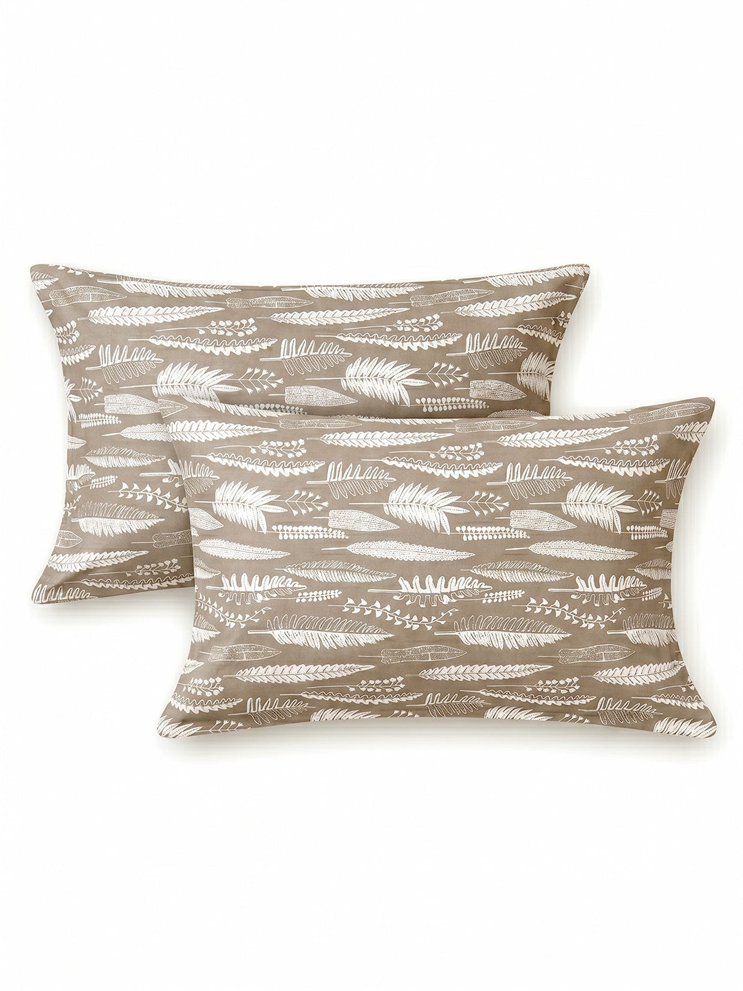 Honeybrush Collection Bedsheet with 2 Pillow Covers (A)