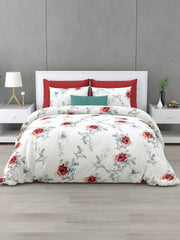 Porcelaine 160 TC Cotton Bedsheet Set